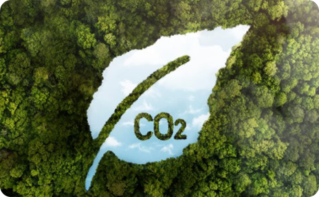 MOUNTSHIP Celebrates 23 Years of EPDM Innovation: From Local Producer to Global Solutions Partner