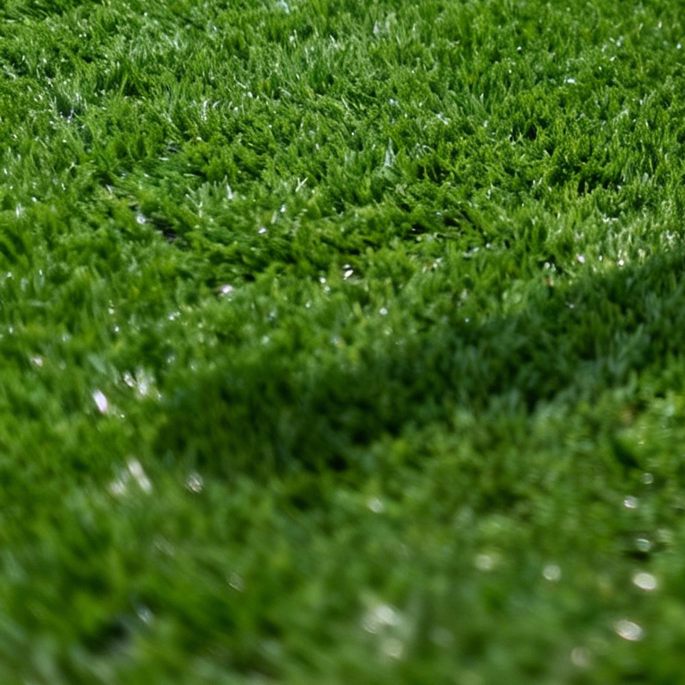 EPDM Infill Granules