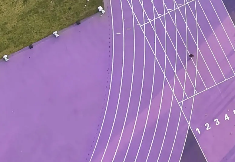 Purple Sandwich-Structure EPDM Track